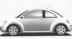 Beetle