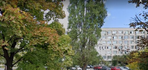 изключително право върху марка