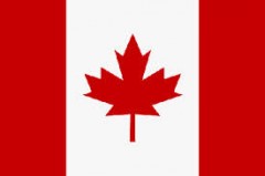 Виенската класификация