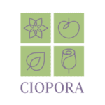 CIOPORA