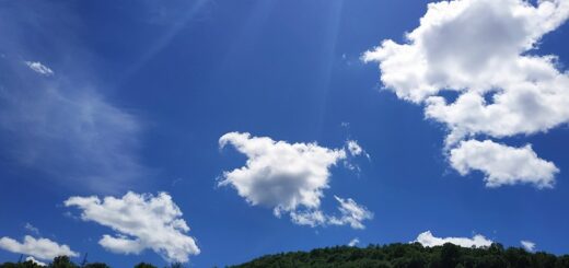 зелени изобретения