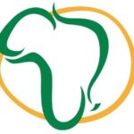 правата на интелектуална собственост