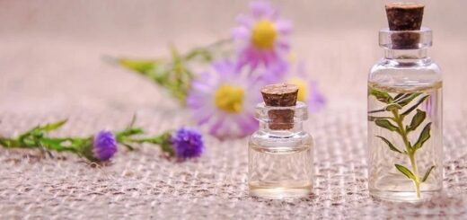 закрила на интелектуална собственост