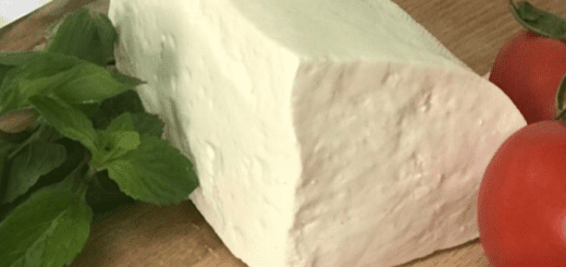 защитени наименования за произход