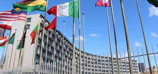 културно разнообразие