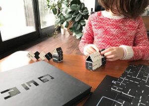 търговска марка gemji