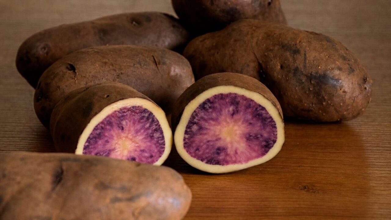 Сорт картофи Atsegiñe